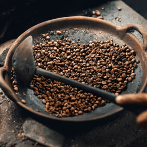 How Mushroom Coffee Pods Are Actually Made