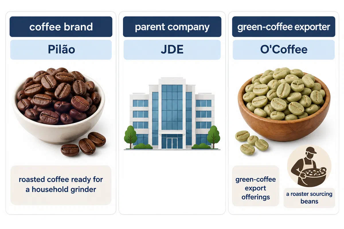 Retail brand, parent company and green-coffee exporter serve different roles; Pilão/JDE and O'Coffee illustrate the distinction.